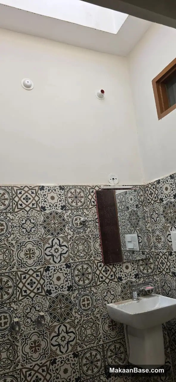 House for Rent in Silver palm colony view 3